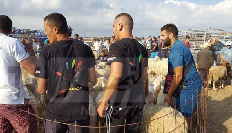 مجموعة بصمة خير توزع 37 أضحية على العائلات المعوزة بعنابة