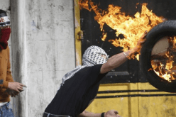 الثلاثاء والجمعة القادمين يومي غضب في فلسطين