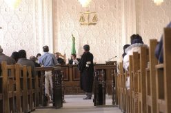 بقرة تجر صاحبها الموال إلى السجن بالمرسى في سكيكدة 