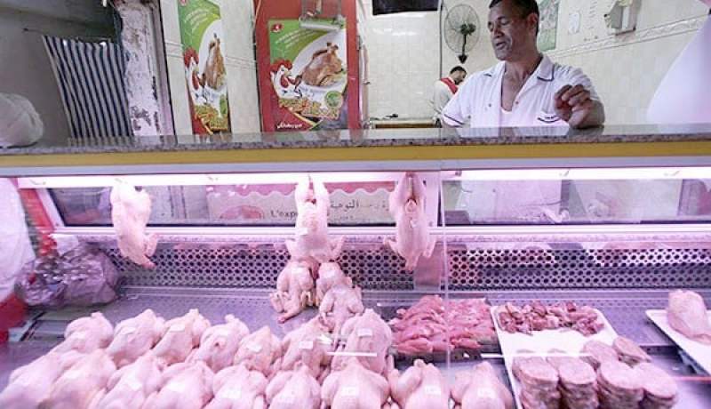 الدجاج يغرّد بـ 400 دينار في أسواق العاصمة!!!