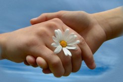 التسامح مبدأ إنساني وأخلاقي