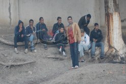 مليون و337 ألـف شومار فـي الجزائر