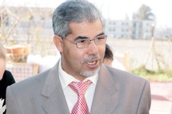 قرابة 350 ألف سجين تكونوا خلال 13 سنة