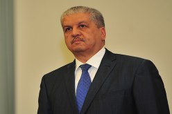 سلال يغازل التجار