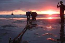 قائد السفينة المتسببة في قطع الكابل البحري للأنترنت أمام محكمة عنابة يوم 17 ديسمبر