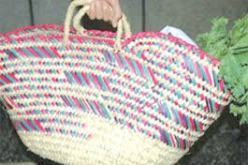 بوتفليقة يؤكد أن برنامج عمل السلطات العمومية يهدف إلى ترقية المؤشرات البشرية والقدرة الشرائية للمواطن