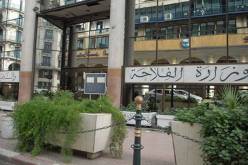 وزارة الفلاحة تشترط شهادة الصحة الجيدة لبيع ونقل المواشي