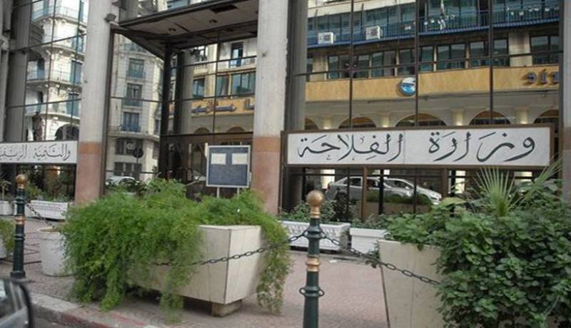وزارة الفلاحة تشترط شهادة الصحة الجيدة لبيع ونقل المواشي