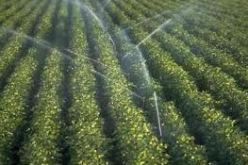 عقلنة تسيير مياه السقي محور الطبعة الـ14 للصالون الدولي للفلاحة