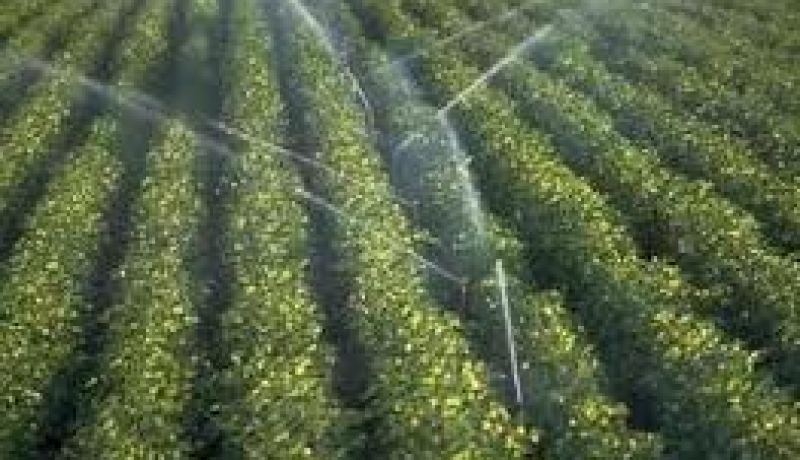 عقلنة تسيير مياه السقي محور الطبعة الـ14 للصالون الدولي للفلاحة