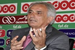 حاليلوزيتش: مهمتي في الجزائر انتهت وأنا أفكر حاليا في مكان آخر