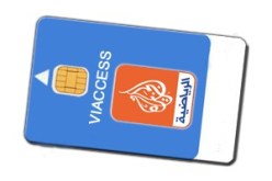 الأمن يقبض على سارق بطاقات ''الجزيرة'' المشفرة في وهران