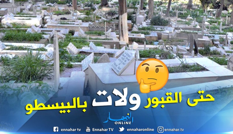 أستاذ القانون الدستوري رشيد لوراري:”اقطعوا الأيادي الفاسدة إن أردتم التنمية”