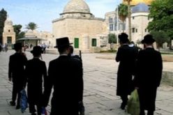 مستوطنون يقتحمون باحات المسجد الأقصى تزامنا مع إحتفالات يهودية