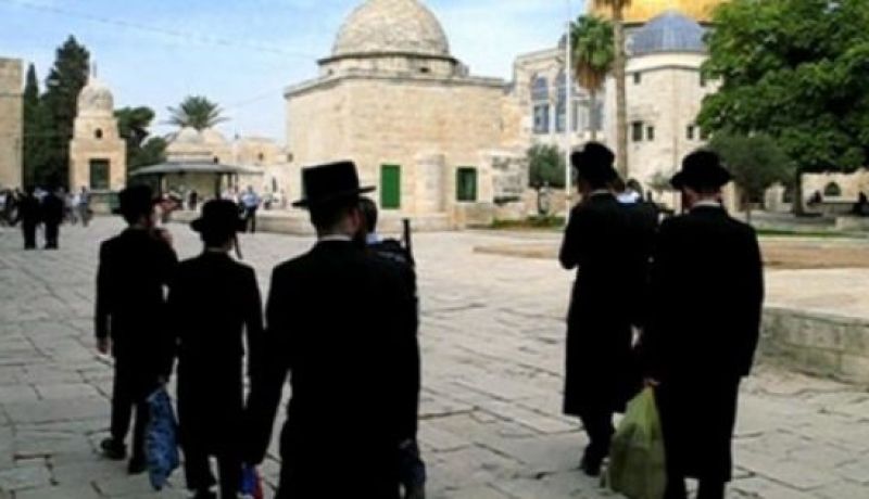 مستوطنون يقتحمون باحات المسجد الأقصى تزامنا مع إحتفالات يهودية