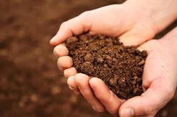 تعرف على فائدة “أكل التراب” في خسارة الوزن