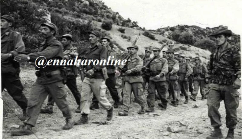 «زيغوت يوسف ضرب فرنسا فــي عز النهار حتى لا يقال إنه استهدف السكارى»!