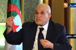 شرفي:”دور اللجنة الحكومية يقتصر على الدعم اللوجستيكي”