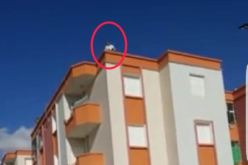 مقصى من السكن يعتلي عمارة ويحاول الانتحار برفقة ابنته في “الجزار” بباتنة