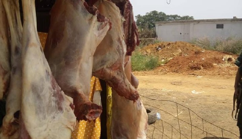 العثور على مذبح سري في غابة درميني ببواسماعيل