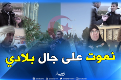 “شباب البيض” مثال يقتدى به في الوطنية..