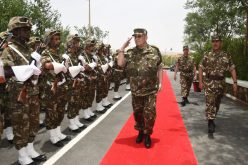 قايد صالح يشيد بالجهود المبذولة لحماية الحدود الجنوبية للبلاد