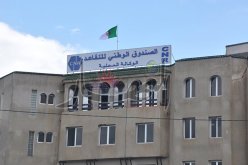 التقاعد لكل من بلغ 58 سنة في 2017 و59 في 2018