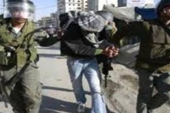 القوات الاسرائيلية تعتقل اربعة فلسطينيين تصدوا لمتطرفين حاولوا اقتحام الاقصى