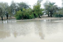 أمطار رعدية على الولايات الشرقية غدا