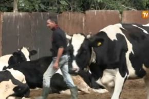 بالفيديو هذه هي تفسيرات منتجي الحليب لندرة هذه المادة في الأسواق