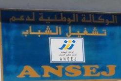 إجراءات جديدة تحفيزية لفائدة الشباب أصحاب المشاريع خلال الأيام القليلة القادمة