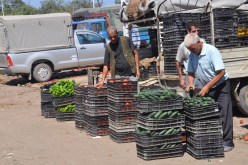 بالصور – باعة الفوضى يجتاحون العاصمة مجددا