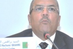 براهمي: الاشكالات التي طرحت خلال الحملة الانتخابية لا ترقى الى حد اعاقة حسن سير الاقتراع