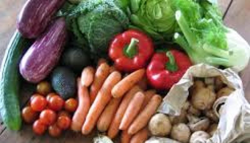 أسعار الخضر والفواكه ستنخفض بعد جني المنتوج في الجنوب