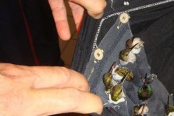 أغرب طريقة لتهريب طيور نادرة