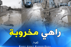 بالصور…سكان بريكة يطالبون الوالي التدخل لتهيئة الطرق المهترئة