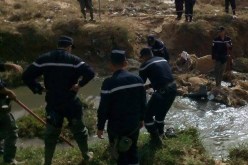 رعاة يعثرون على جثة طفل بلا رأس ولا ساق داخل غابة في سطيف