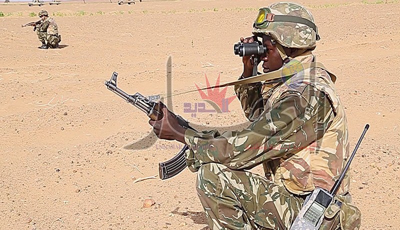 5 آلاف عسكري ودركي لتدمير القواعد الخلفية لعصابات التّهريب