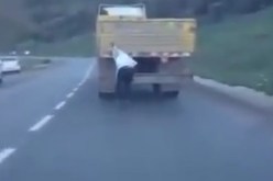 فيديو لشاب متهور يتمسك بشاحنة في الطريق الرابط بين عنابة وسوق أهراس