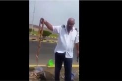 بالفيديو ثعابين في حقيبة أحد الحجّاج المصريين
