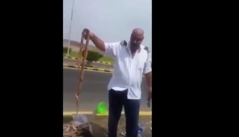 بالفيديو ثعابين في حقيبة أحد الحجّاج المصريين
