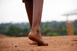 معكم إلى بر الأمان