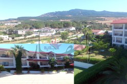 عين الدراهم التونسية ملجأ الأندية الجزائرية في غياب المرافق في الجزائر