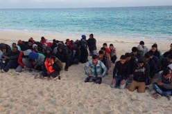 الأمن التركي يحبط محاولة هجرة غير شرعية لـ 56 شخصا