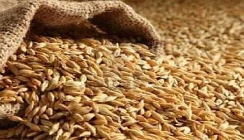 معسكر: حجز 200 قنطار من الفرينة