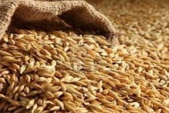 سعيدة: حجز 190 قنطار من الفرينة