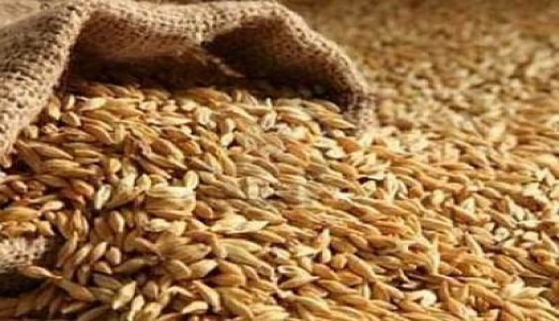 سعيدة: حجز 190 قنطار من الفرينة