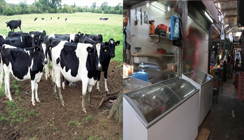 مستوردو اللحوم المجمّدة وراء إشاعة الحمى القلاعية