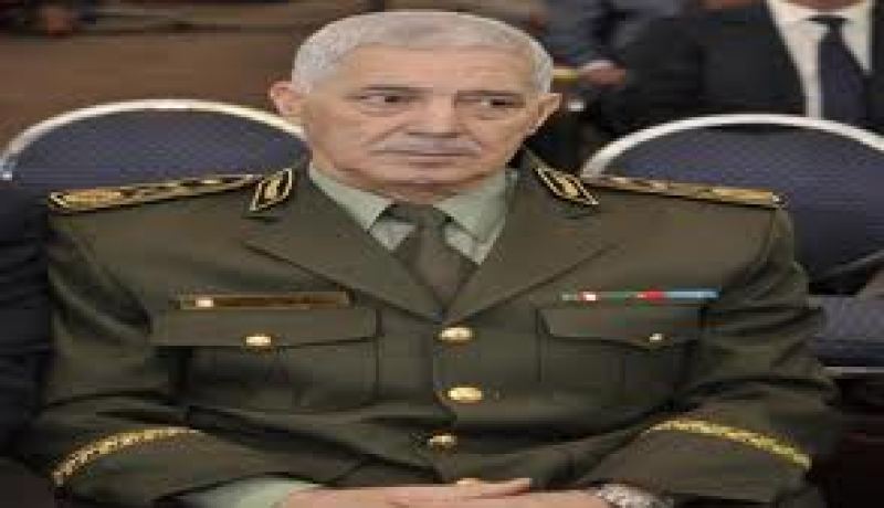 بوسطيلة: التجاوزات المتعلقة بالبيئة بلغت أعلى درجاتها في السنوات الأخيرة
