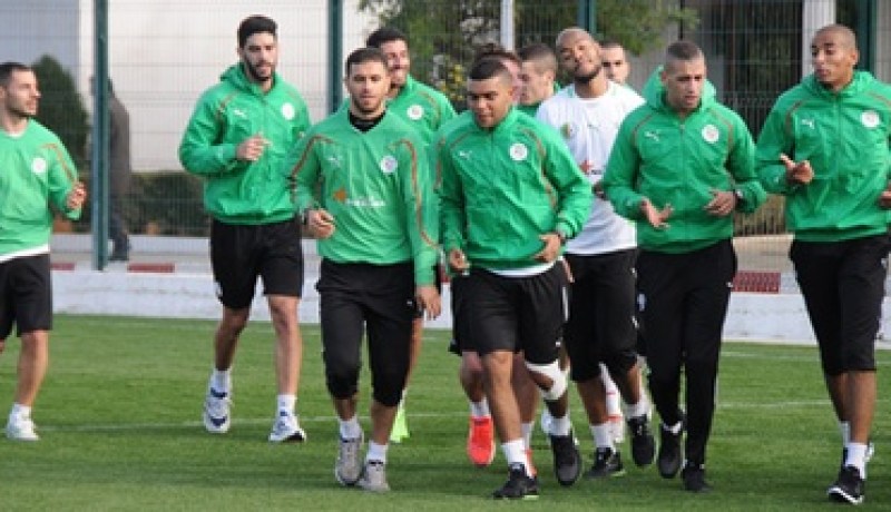 أسباب هزيمة الخضر في كأس أمم إفريقيا 2013 على لسان حاليلوزيتش